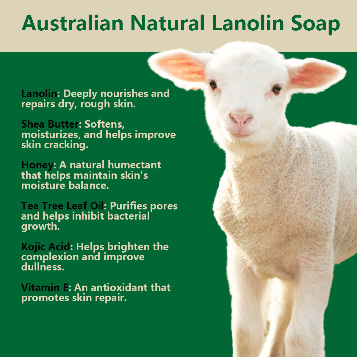 Aussie Betta Gold Turmeric & Lanolin Soap